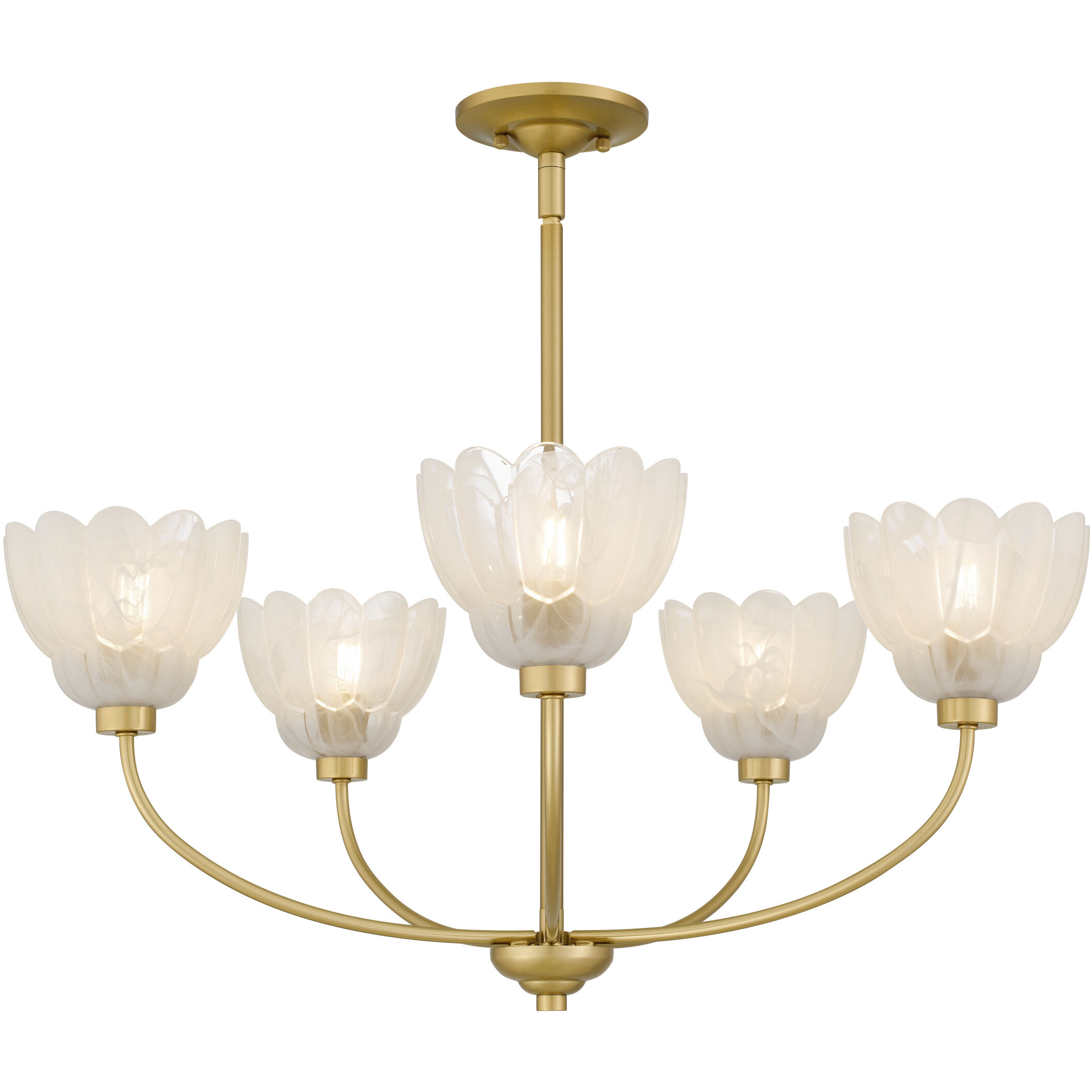 Whitecap 5 Light 28 inch Brushed Gold Chandelier Ceiling Light