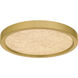 Outskirts LED 11 inch Brushed Gold Flush Mount Ceiling Light, Small