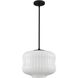 Cara 1 Light 14 inch Matte Black Pendant Ceiling Light