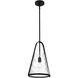 Briley 1 Light 11.5 inch Matte Black Mini Pendant Ceiling Light