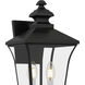 Farley 2 Light 20 inch Matte Black Outdoor Wall Lantern