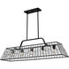 Rainier 5 Light 48 inch Matte Black Linear Chandelier Ceiling Light, Large