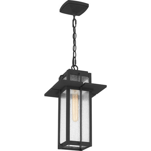 Randall 1 Light 9 inch Mottled Black Outdoor Hanging Lantern, Large