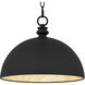 Braylon Pendant Ceiling Light