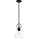 Singh 1 Light 8 inch Matte Black Mini Pendant Ceiling Light