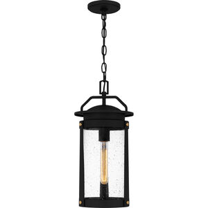 Clifton 1 Light 9 inch Earth Black Outdoor Hanging Lantern