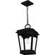 Huck 1 Light 10 inch Earth Black Mini Pendant Ceiling Light, Small