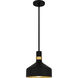 Arbor 1 Light 10 inch Matte Black Mini Pendant Ceiling Light, Small