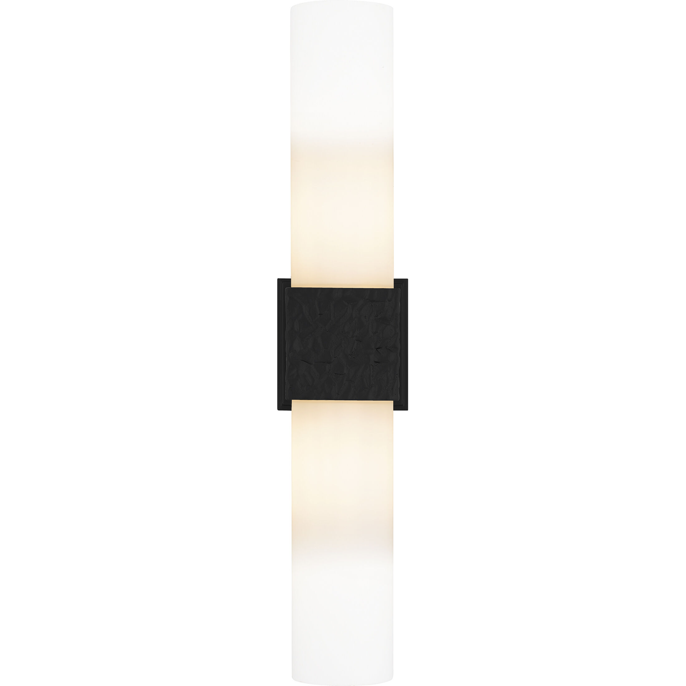 Arline Wall Sconce Wall Light in Matte Black, Small