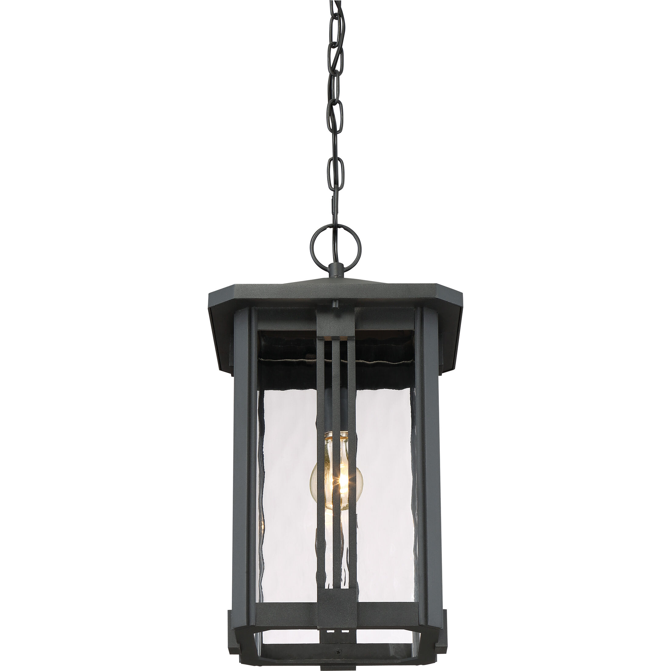 Everglade 1 Light 10.5 inch Earth Black Outdoor Hanging Lantern