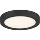 Outskirts 8 inch Earth Black Flush Mount Ceiling Light