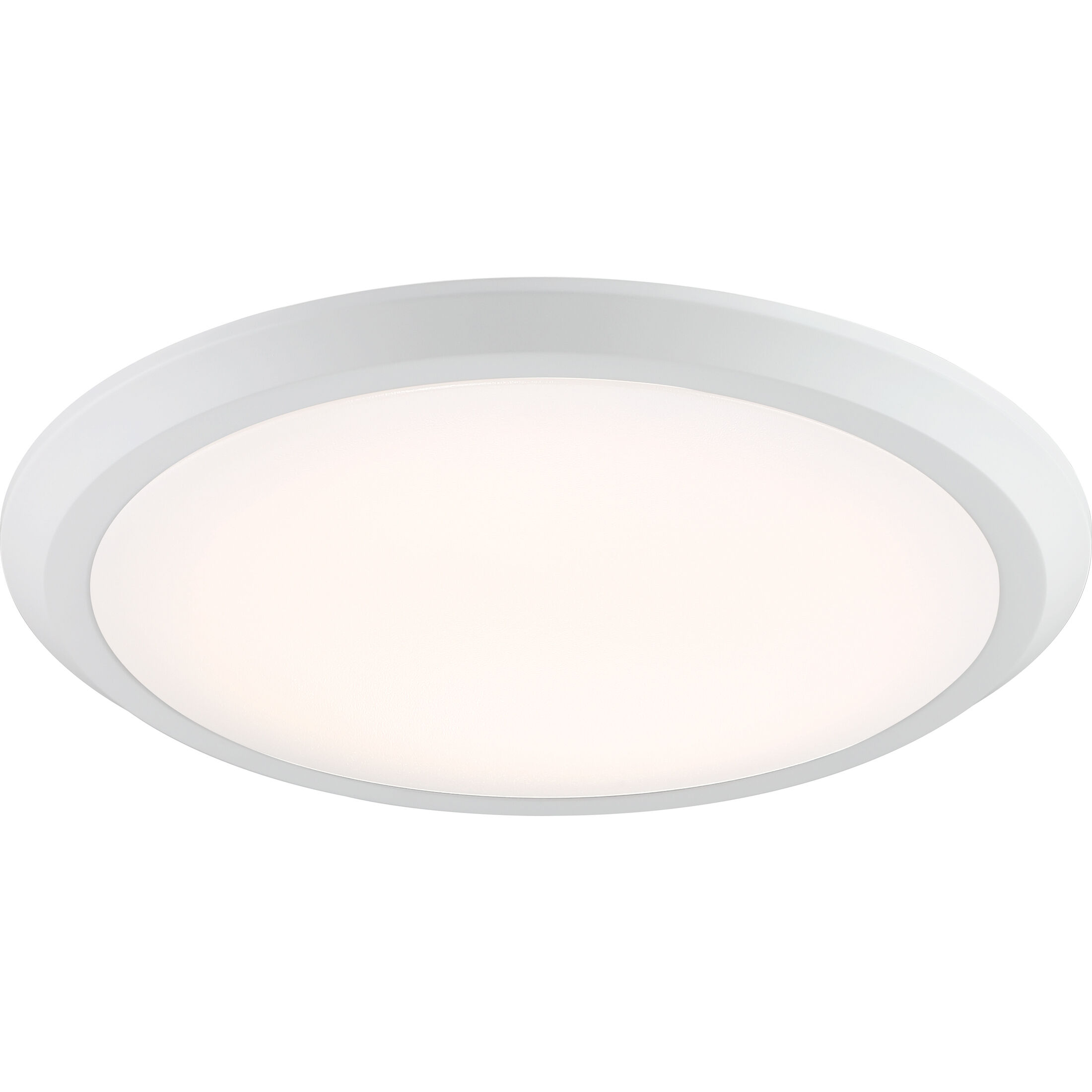 20 flush store mount ceiling light