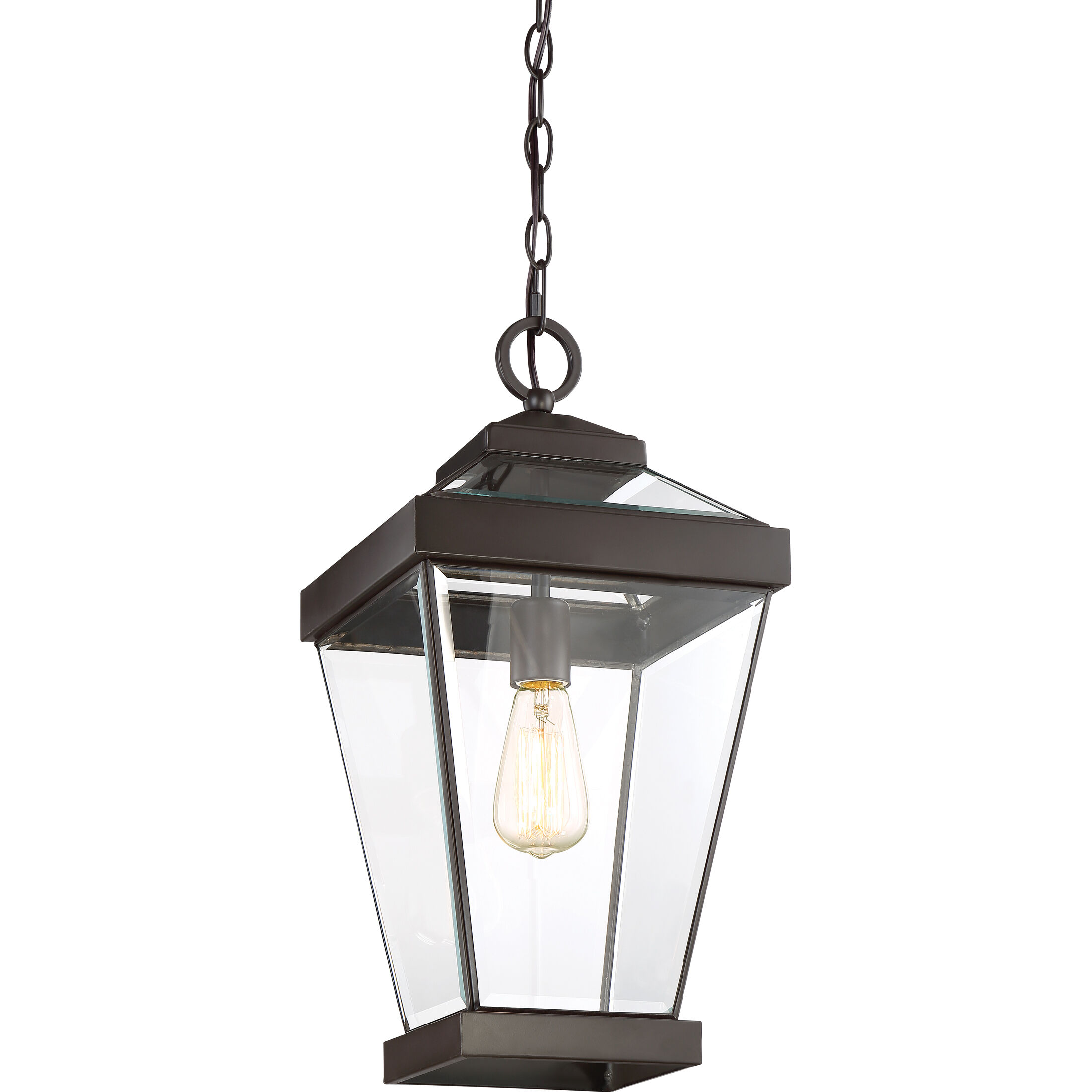 Ravine 1 Light 10 inch Western Bronze Outdoor Hanging Lantern