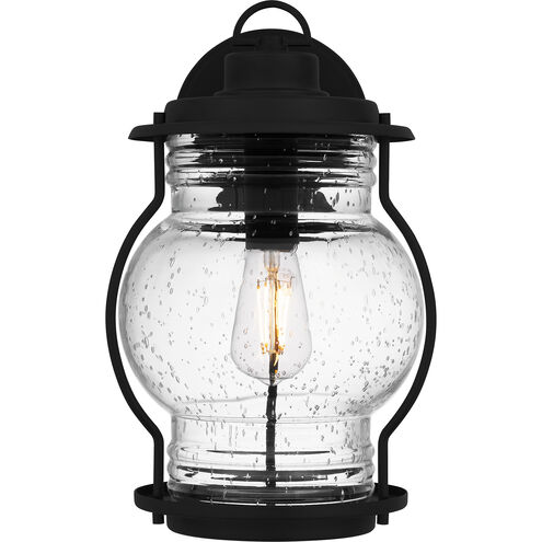 Luther Outdoor Wall Lantern, Large