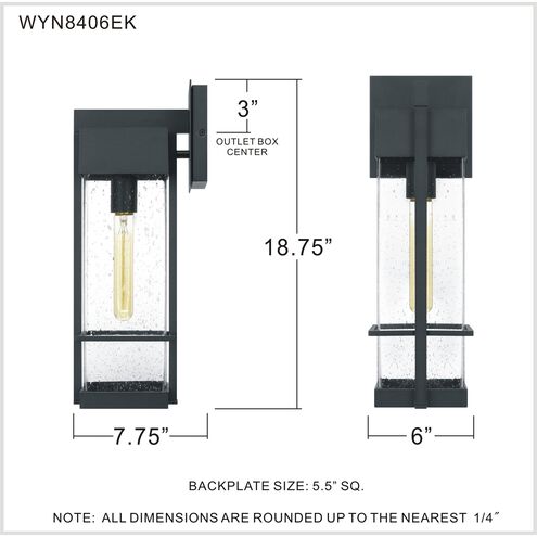 Wynn 1 Light 19 inch Earth Black Outdoor Wall Lantern