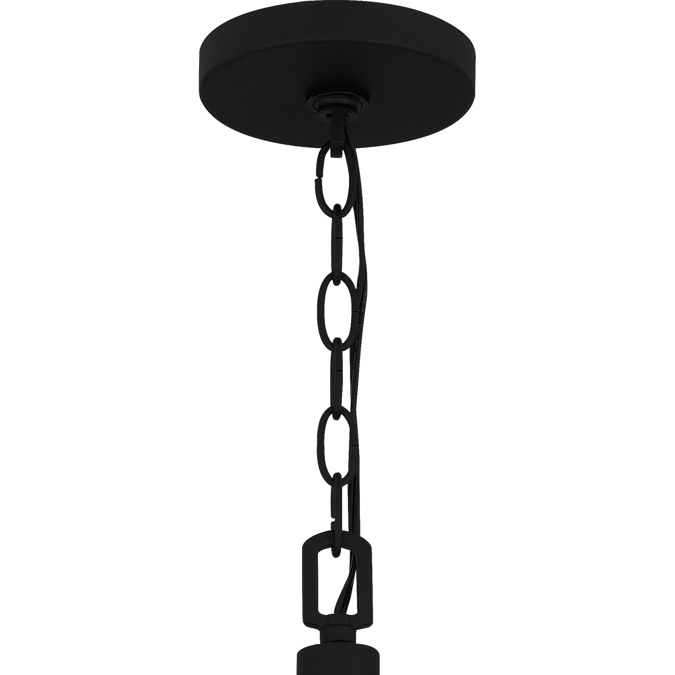 Fortress 5 Light 20.5 inch Earth Black Pendant Ceiling Light