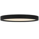 Outskirts LED 11 inch Earth Black Flush Mount Ceiling Light, Small