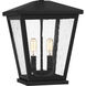 Joffrey 2 Light 11 inch Matte Black Outdoor Hanging Lantern, Large