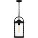 Reece 1 Light 9 inch Earth Black Outdoor Hanging Lantern