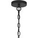 Abner 1 Light 12 inch Matte Black Mini Pendant Ceiling Light