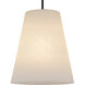 Peregrine 1 Light 14 inch Matte Black Pendant Ceiling Light