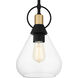 Singh 1 Light 8 inch Matte Black Mini Pendant Ceiling Light