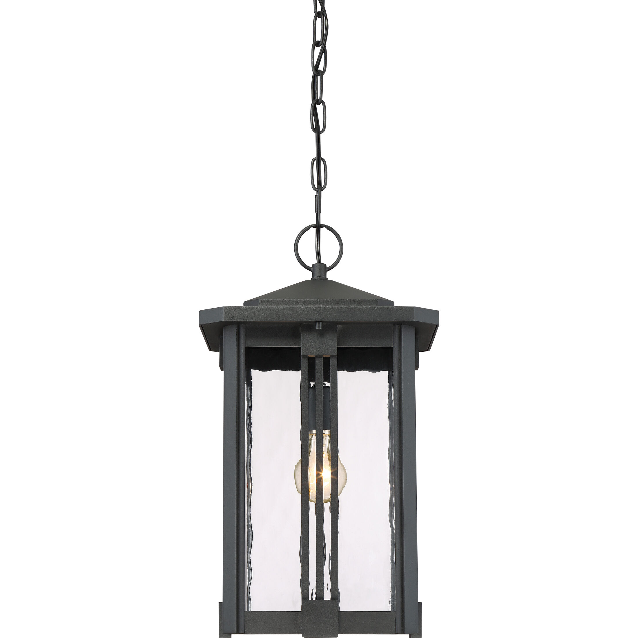 Everglade 1 Light 10.5 inch Earth Black Outdoor Hanging Lantern
