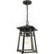 Merle 1 Light 9 inch Burnished Bronze Outdoor Hanging Lantern