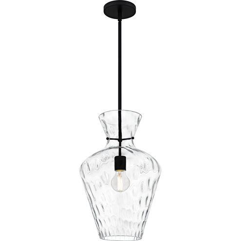 Hollis 1 Light 12 inch Matte Black Pendant Ceiling Light