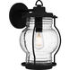Luther Outdoor Wall Lantern, Large