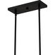 Rainier 5 Light 48 inch Matte Black Linear Chandelier Ceiling Light, Large