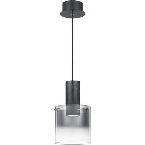 Kilmer LED 8 inch Earth Black Mini Pendant Ceiling Light