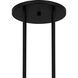 Winsland 16 Light 50 inch Matte Black Chandelier Ceiling Light