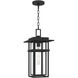 Morgan 1 Light 10 inch Earth Black Outdoor Hanging Lantern