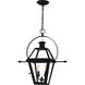 Rue De Royal 2 Light 21.25 inch Earth Black Outdoor Hanging Lantern, Large