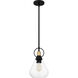 Singh 1 Light 8 inch Matte Black Mini Pendant Ceiling Light