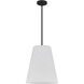 Peregrine 1 Light 14 inch Matte Black Pendant Ceiling Light