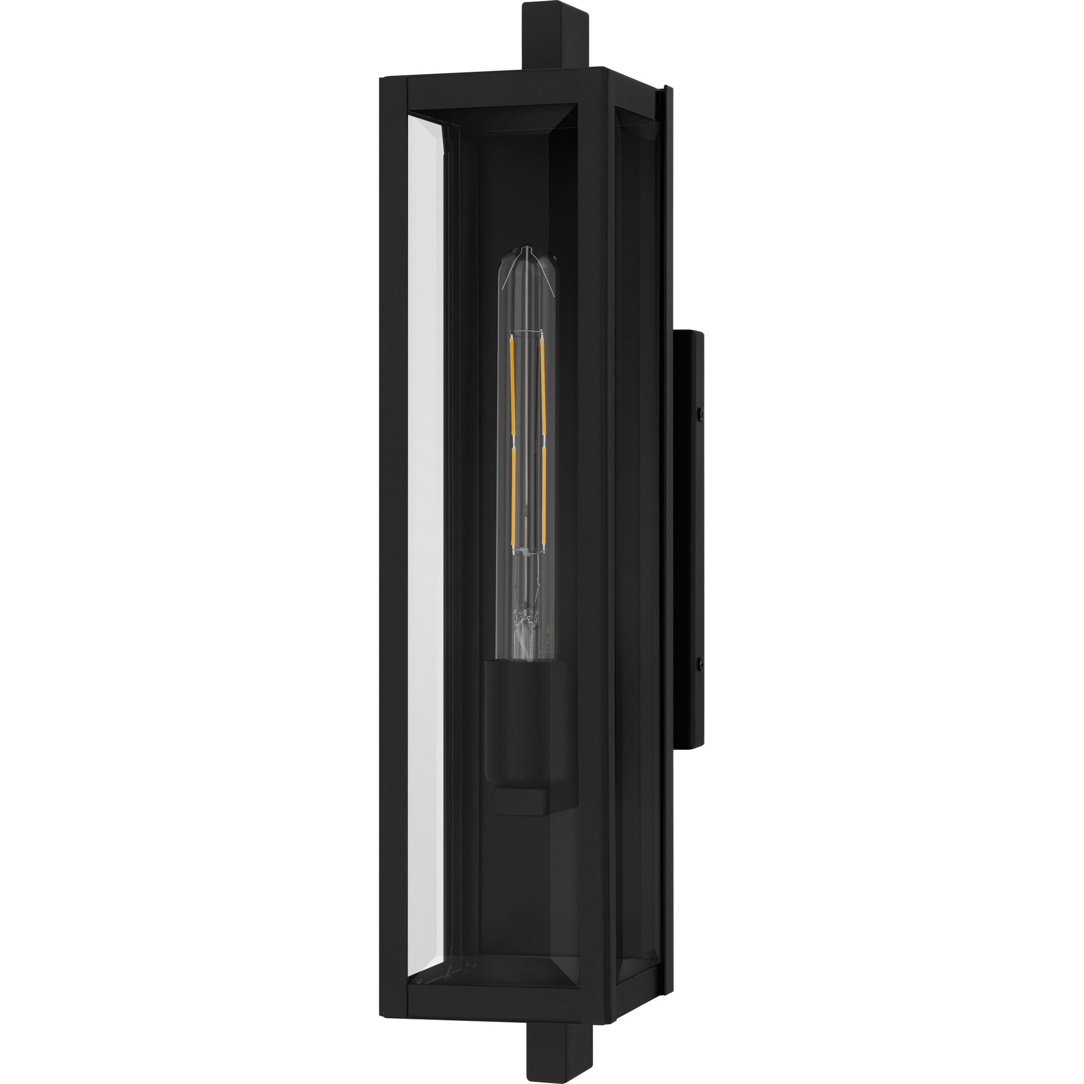 Dale 1 Light 20 inch Matte Black Outdoor Wall Lantern, Medium