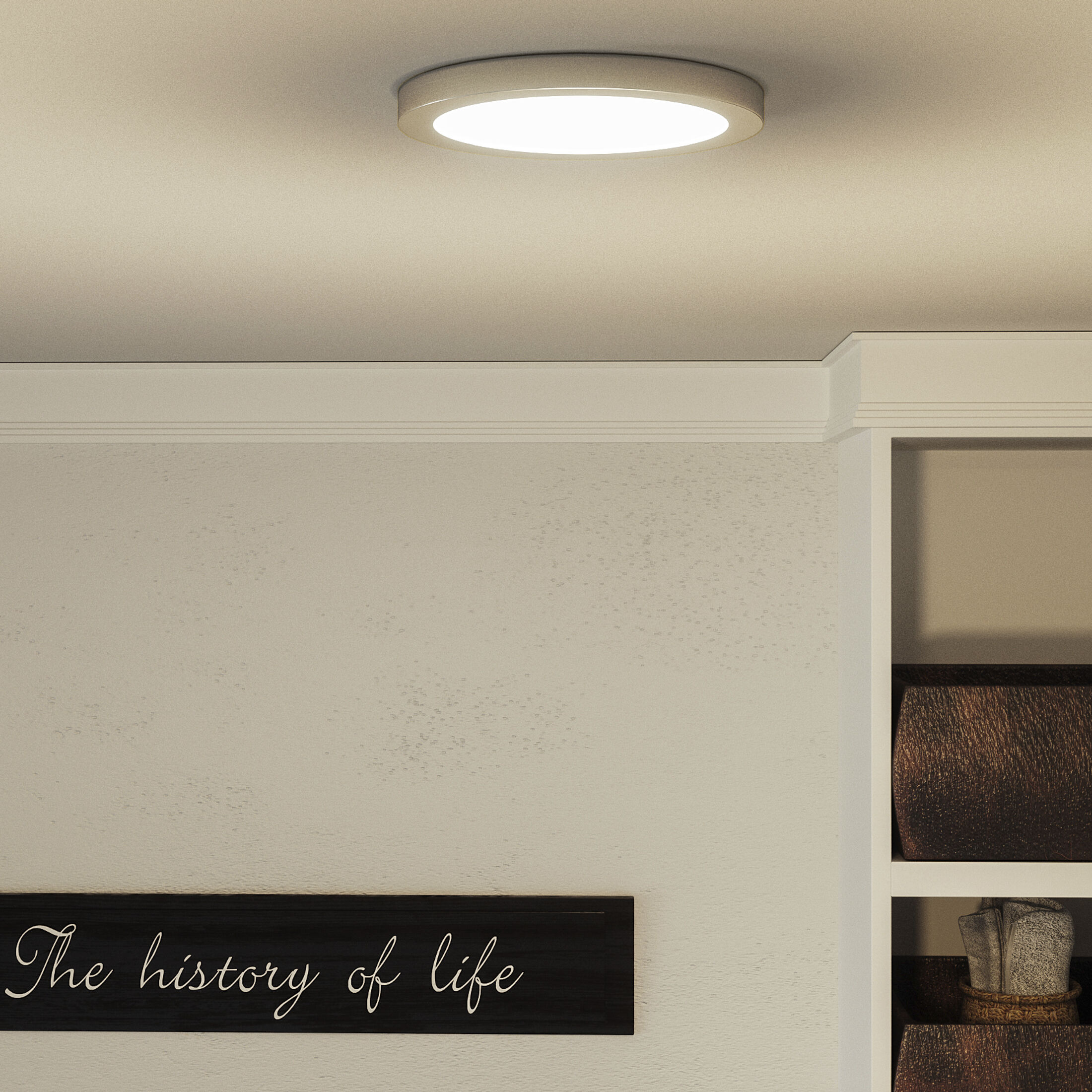 Outskirts LED 7.5 inch Brushed Nickel Flush Mount Ceiling Light