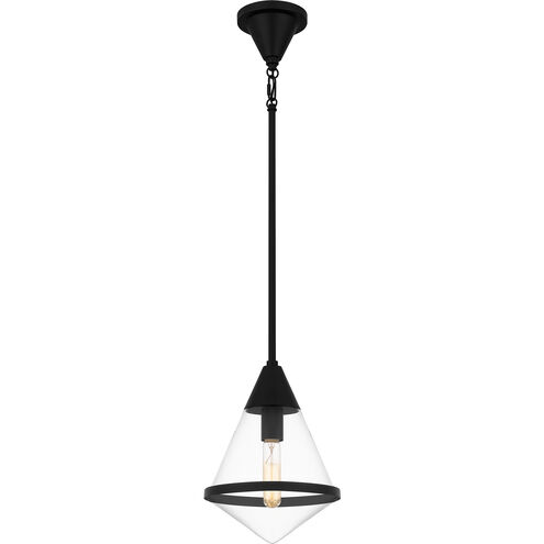 Hidalgo 1 Light 9.5 inch Matte Black Mini Pendant Ceiling Light