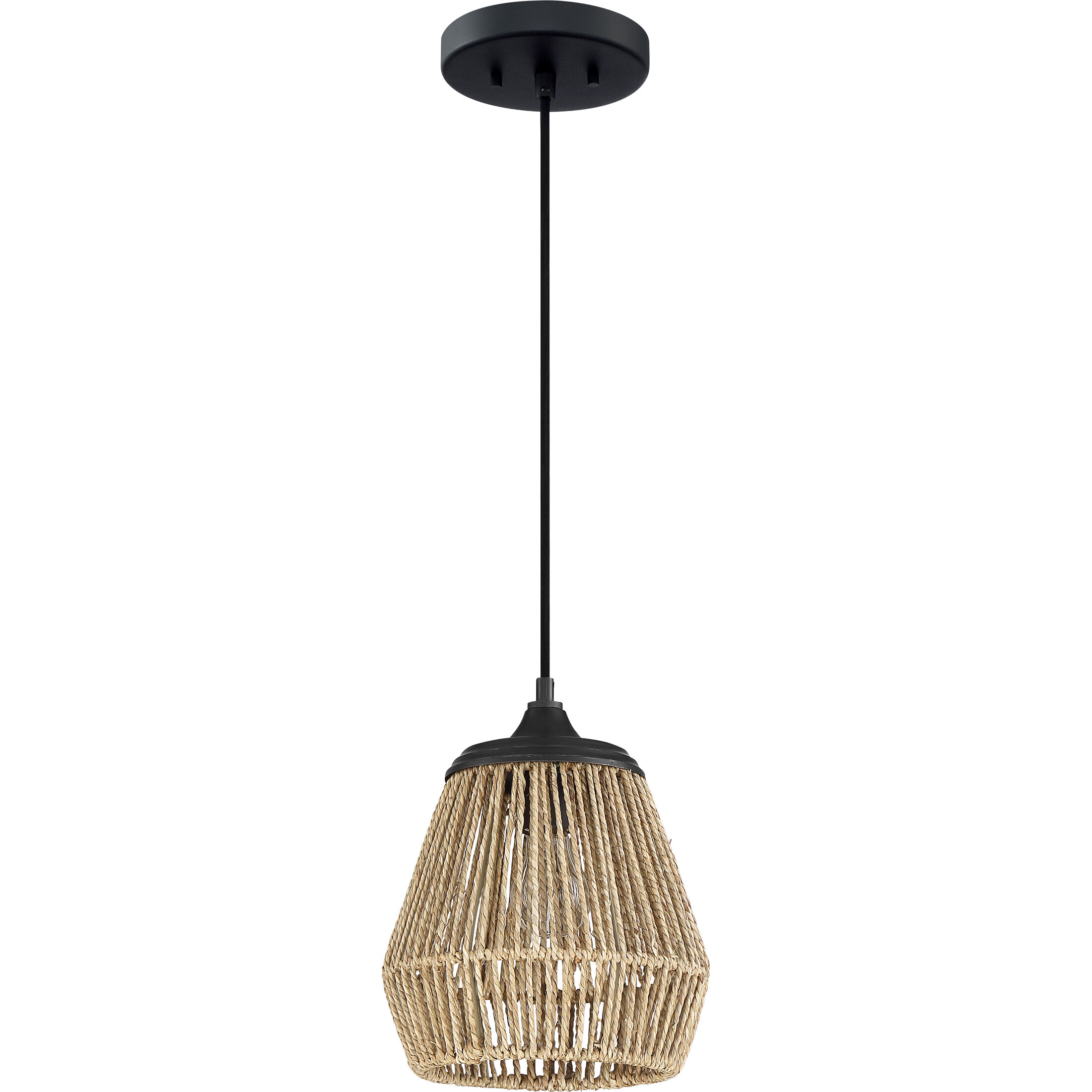 Romain 1 Light 9 inch Earth Black Mini Pendant Ceiling Light 