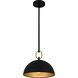 Cleo 1 Light 12 inch Matte Black Pendant Ceiling Light