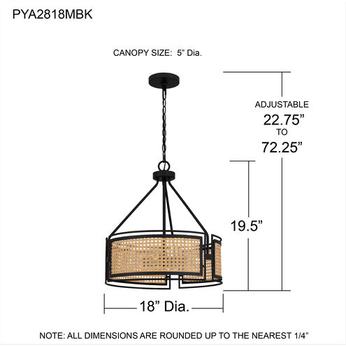 Priya 3 Light 18 inch Matte Black Pendant Ceiling Light