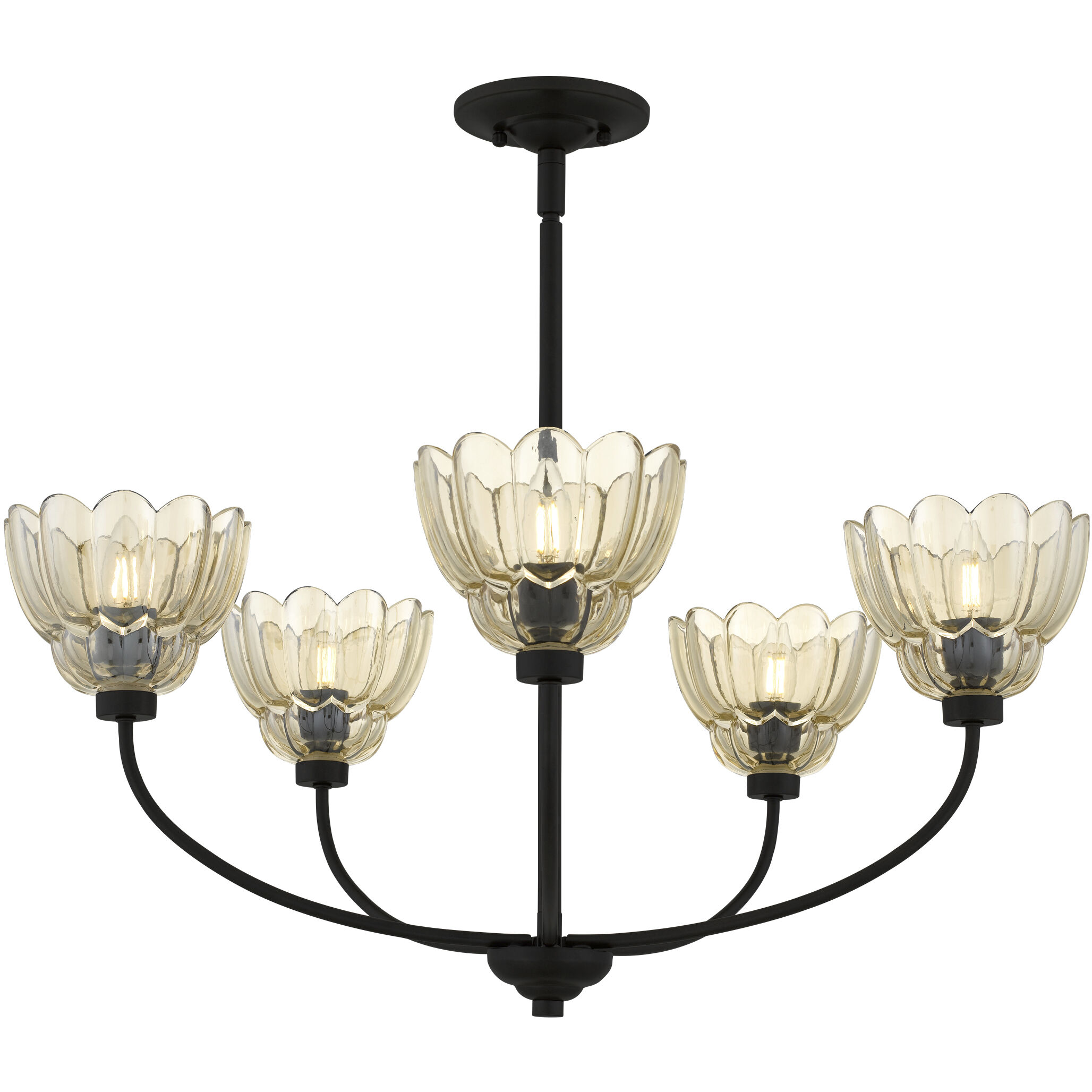 Whitecap 5 Light 28.00 inch Chandelier
