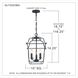 Gallery 3 Light 10 inch Royal Ebony Foyer Pendant Ceiling Light