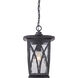 Grover 1 Light 11 inch Mystic Black Outdoor Hanging Lantern
