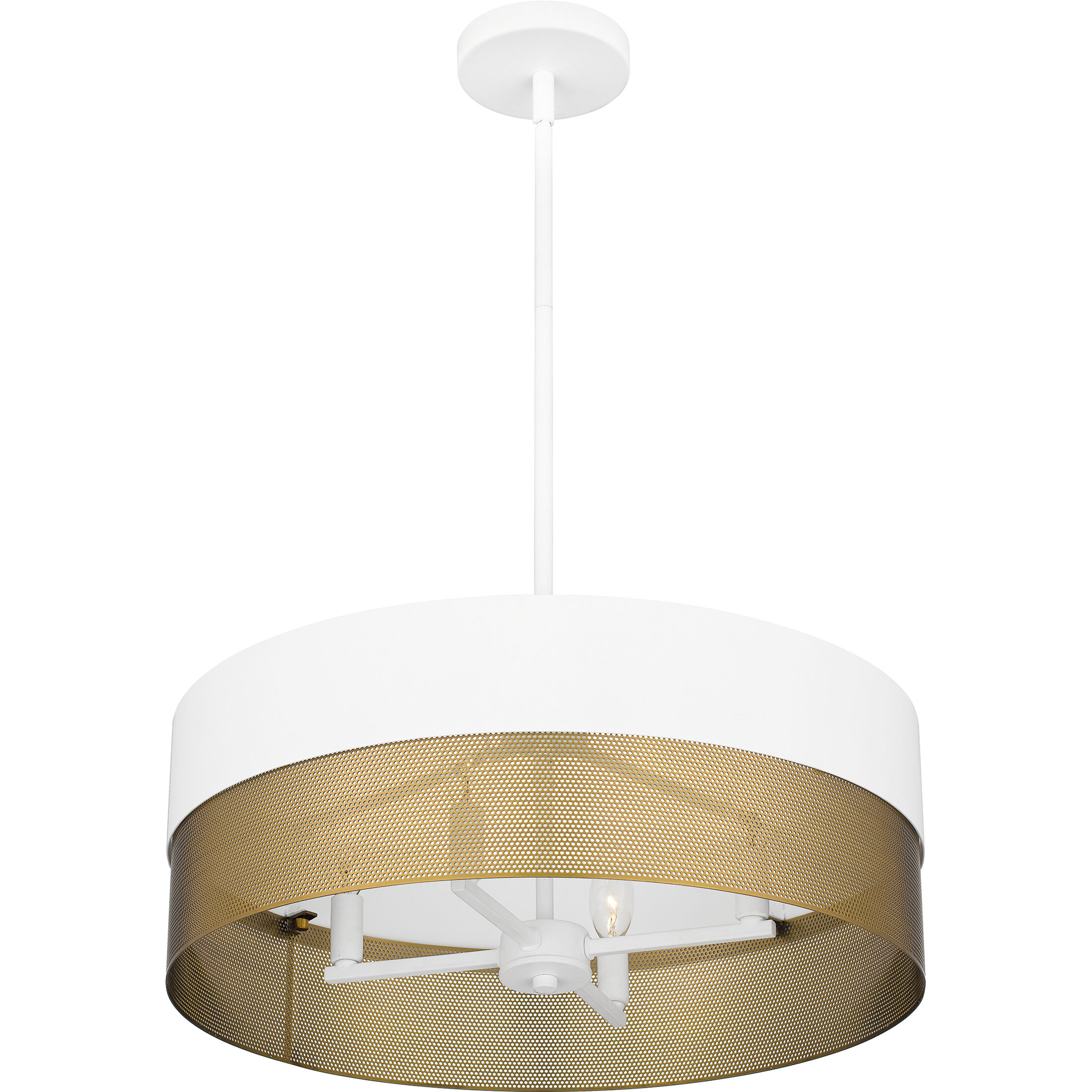 Alani 4 Light 20 inch Matte White Pendant Ceiling Light