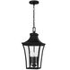 Quentin 4 Light 10 inch Earth Black Mini Pendant Ceiling Light, Small