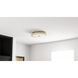 Cherbury LED 16 inch Brushed Gold Flush Mount Ceiling Light, Medium
