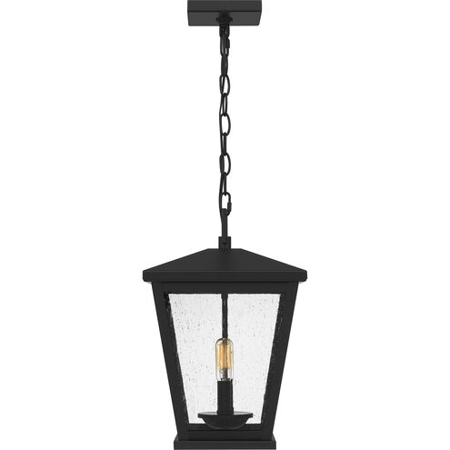 Joffrey 2 Light 11 inch Matte Black Outdoor Hanging Lantern, Large